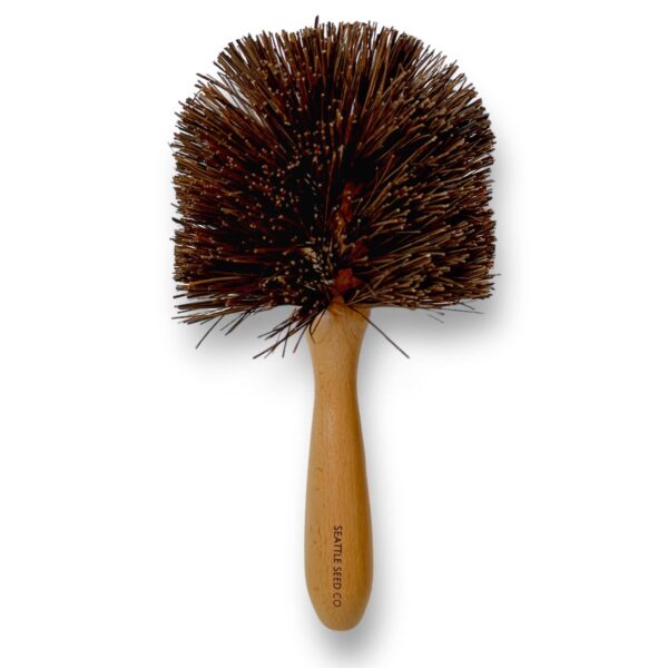 Seattle Seed Co. - Plant Pot Cleaning Brush