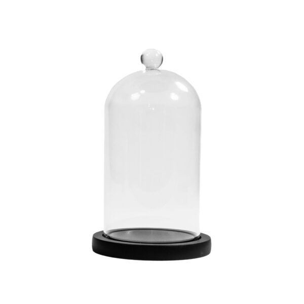 ENVIRONMENT - Clear Glass Cloches with Black Wood Case