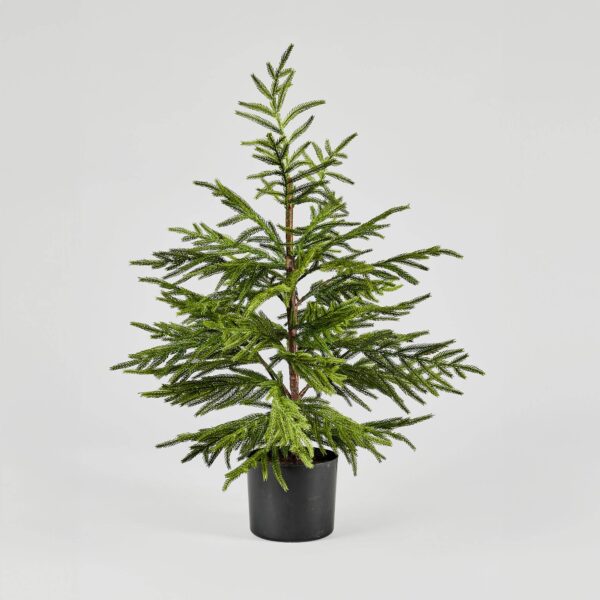 Afloral - Afloral Artificial Norfolk Pine Tree - 36"