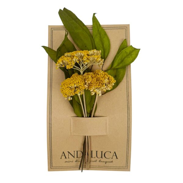 Andaluca - Willow & Yarrow Mini Bouquet