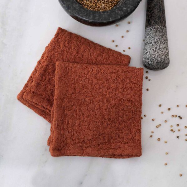 Linen Tales - Baked Clay Linen Dishcloth Set of 2