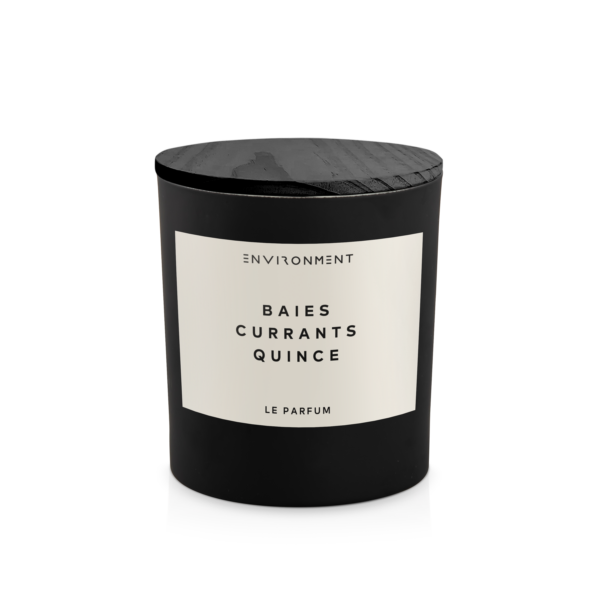 ENVIRONMENT - 8oz Inspired by Diptyque® Candle with Lid and Box Baies | Cu