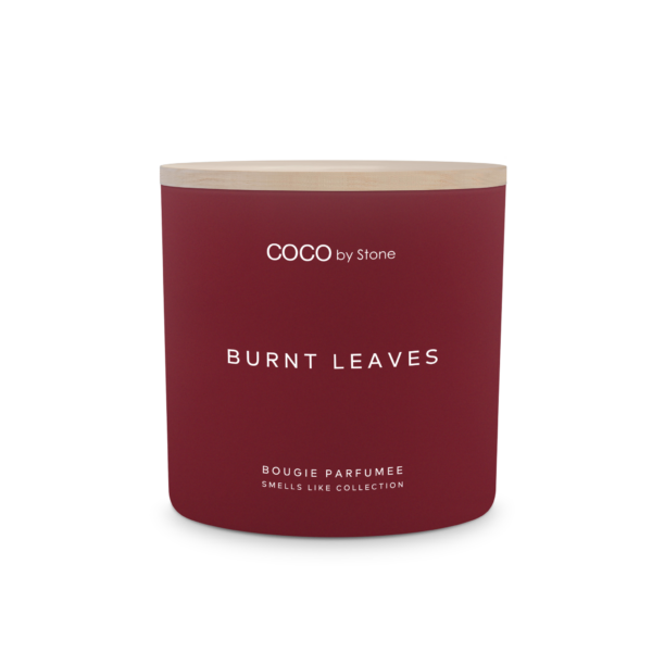 ENVIRONMENT - 15oz Smells Like Burnt Leaves Candle