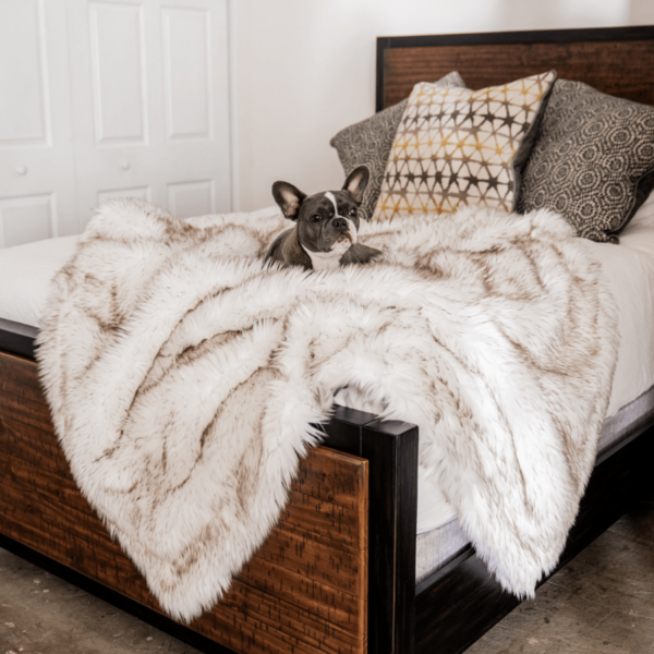 PupProtector™ Waterproof Throw Blanket - White with Brown Accents: Original (60"L x 50"W)