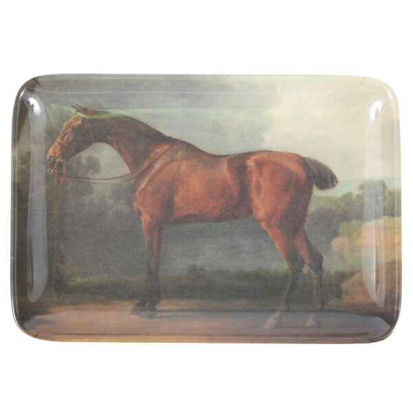 Siren Song - Thoroughbred Valet Tray