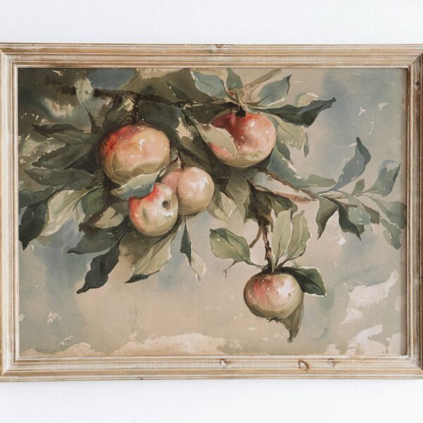 Sugar & Canvas - European Vintage Apples Still Life Kitchen Art Print VP56