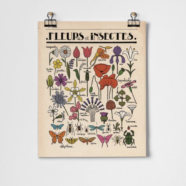 Roomytown Inc - Fleurs et Insectes Fine Art Print