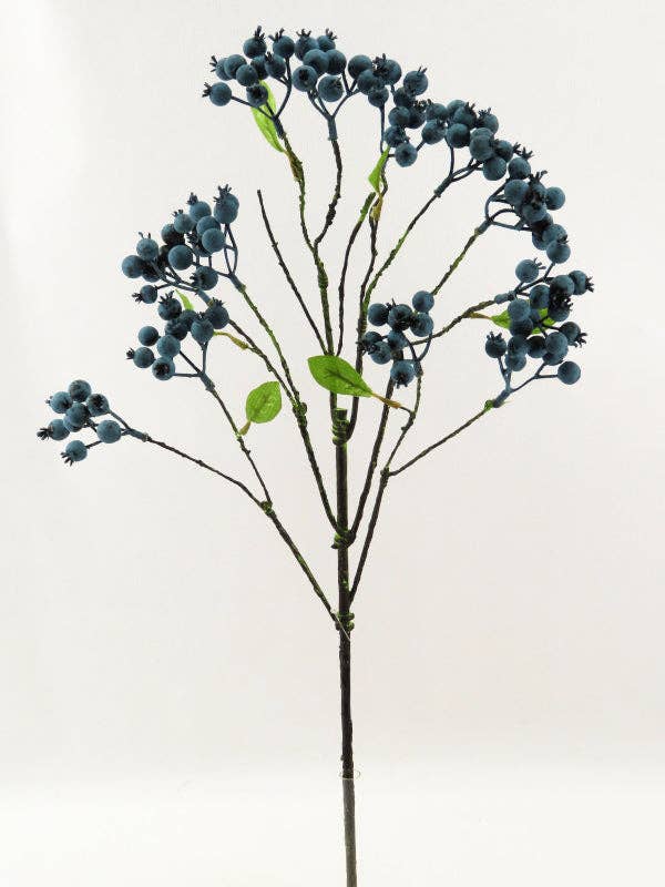 ES Essentials - Blueberry Spray. 23"H