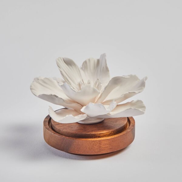 Hibiscus diffuser