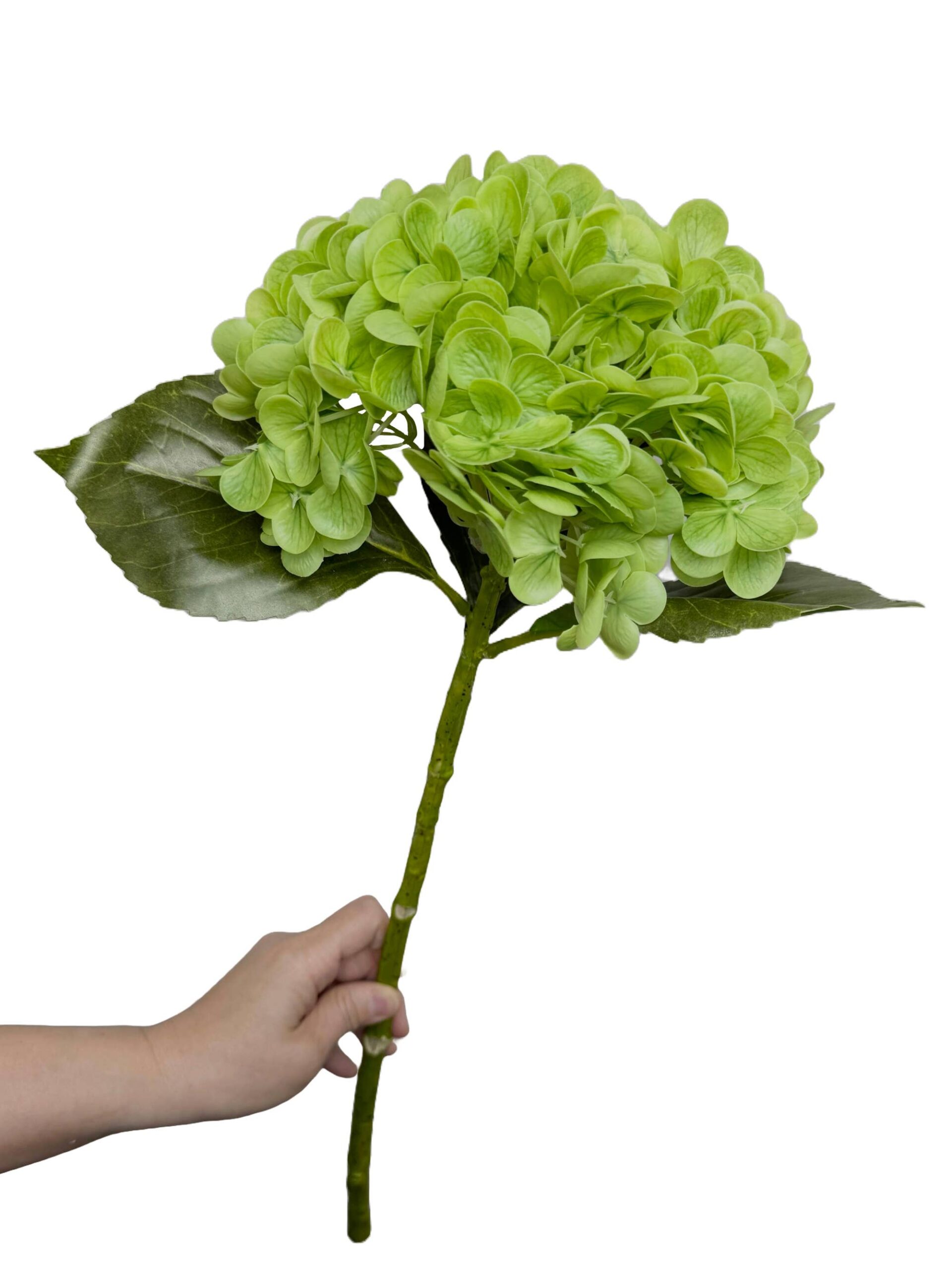 22" Large Bloom Ultra Realistic Real Touch Hydrangea: Green