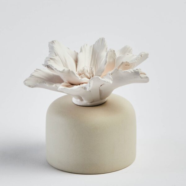 Room diffuser with cotton wick (Copy)