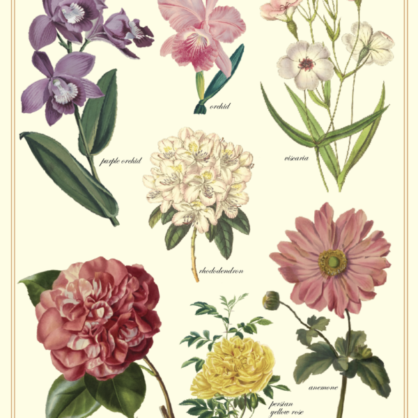 Vintage Posters Wrapping Paper - Flowers from the Garden
