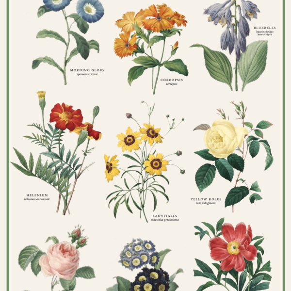 Vintage Posters Wrapping Paper - Flower Library