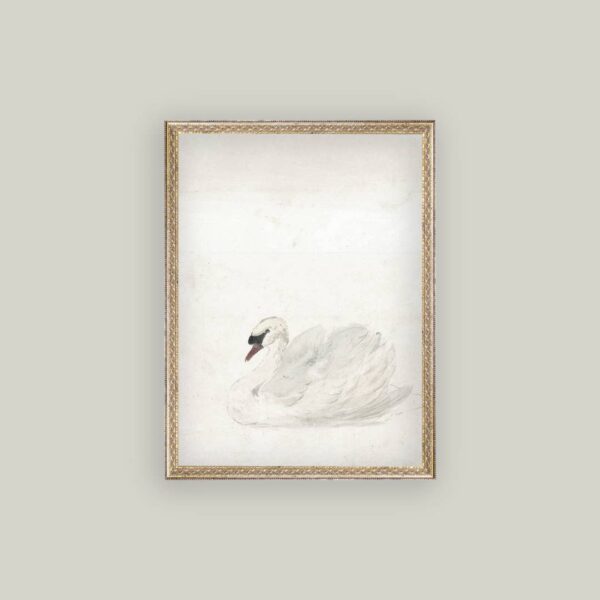 Swan Framed Antique Art: 8x10 - Image 3