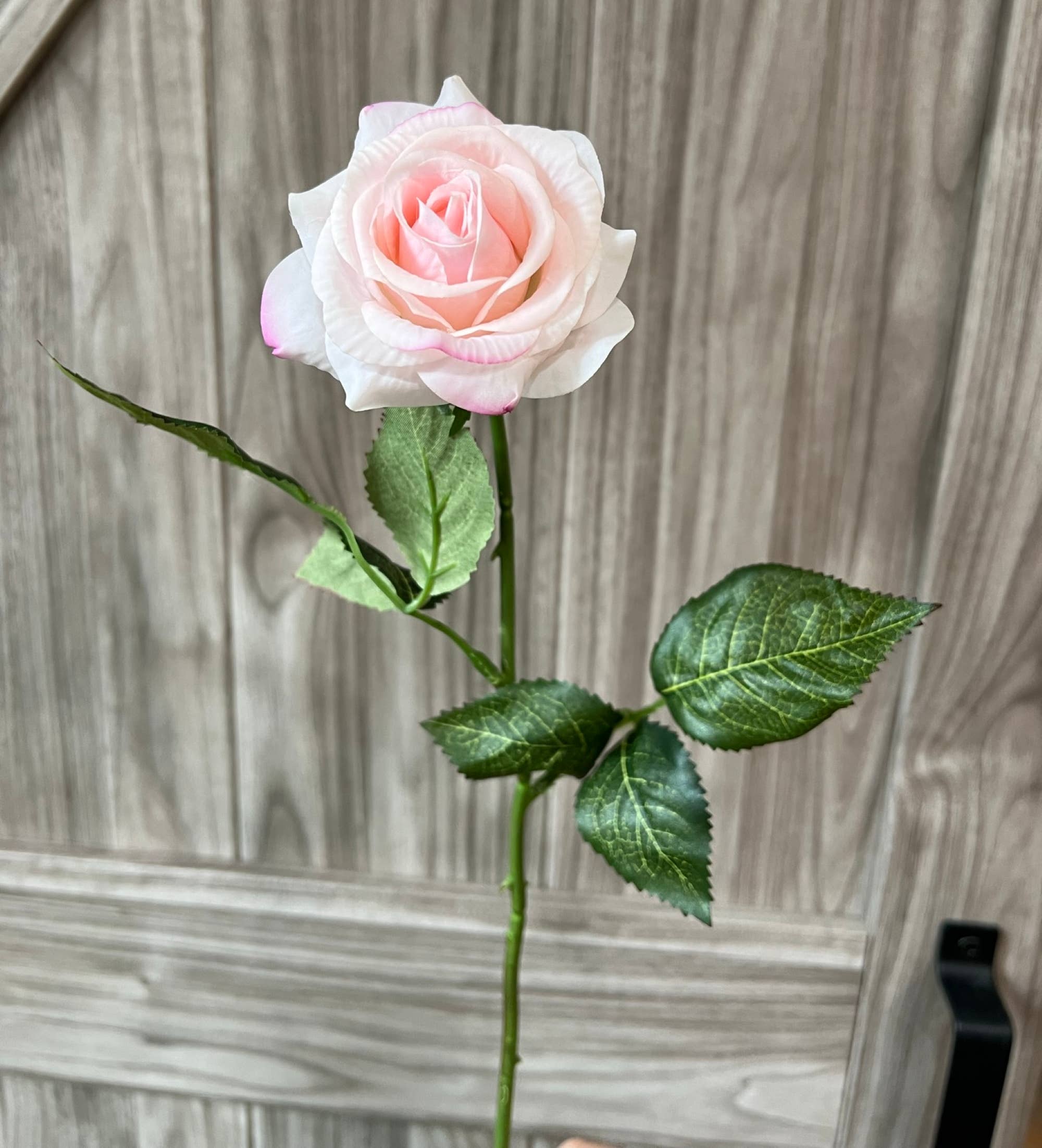 Pack of 48 stems-real touch rose: Ballet Pink