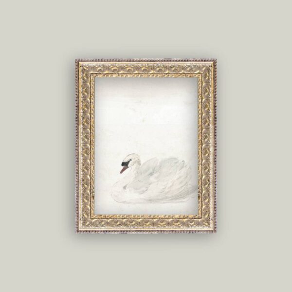Swan Framed Antique Art: 8x10
