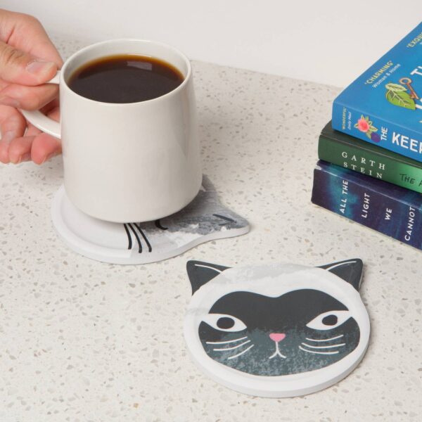 Cats Meow Soak Up Coasters Set of 4 - Image 3