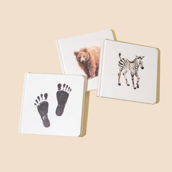 Paige Tate & Co. - Baby's Tummy Time Book Box Set (Baby Gifts) - Image 2