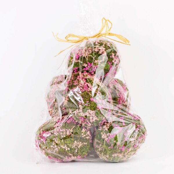 Eva Moss Eggs   Green/Pink   3x4.5