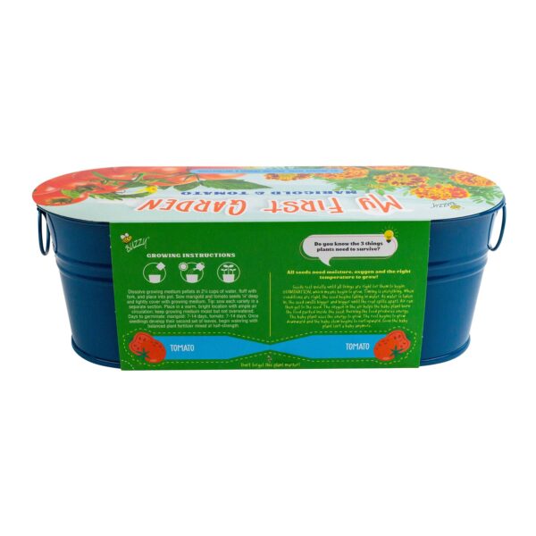 My First Garden Windowsill - Marigold and Tomato Grow Kit - Image 4