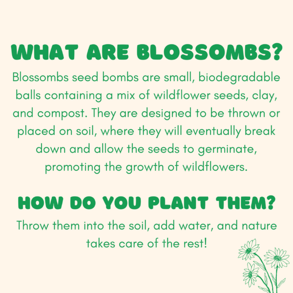 Blossombs Medium Box - Flowers For You - 9 Blossombs - Image 2
