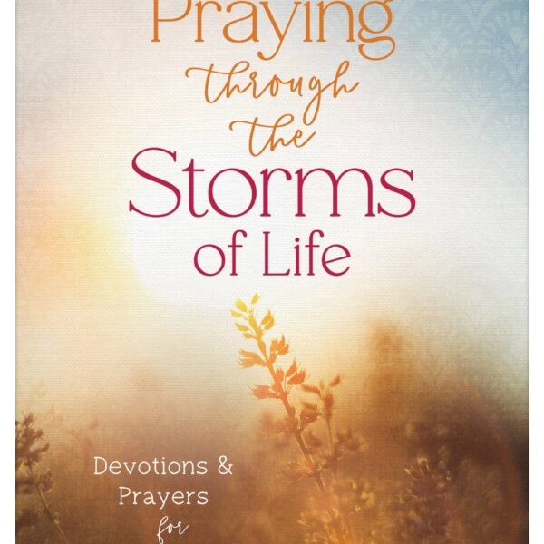 Praying through the Storms of Life - Image 2