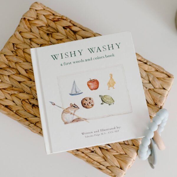 Paige Tate & Co. - Wishy Washy: A Board Book of First Words and Colors - Image 2