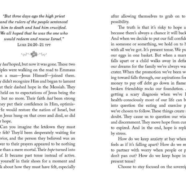 The 30-Day Stress Detox Devotional - Image 2