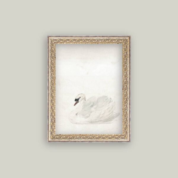 Swan Framed Antique Art: 8x10 - Image 2