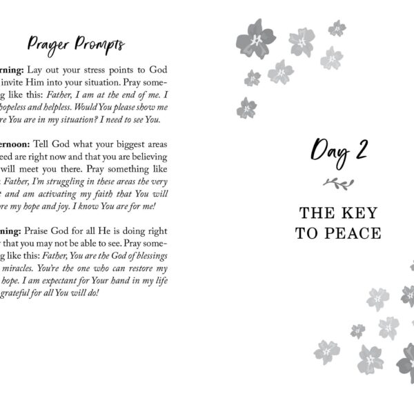 The 30-Day Stress Detox Devotional - Image 3