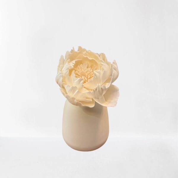 CORALI Creme fragrance diffuser - Image 2