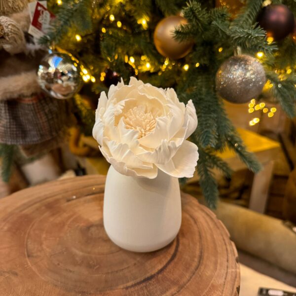 CORALI Creme fragrance diffuser