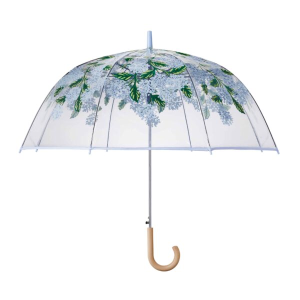 Hydrangea Clear Umbrella