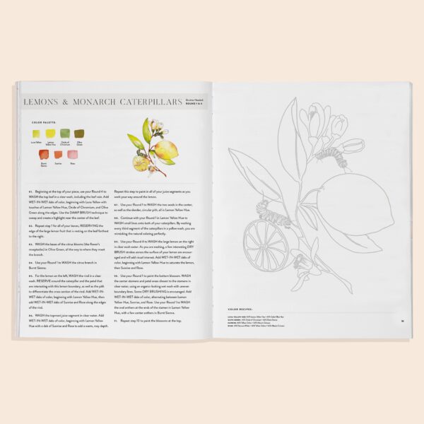 Watercolor Workbook 2: Flowers, Feathers, & Animal Friends