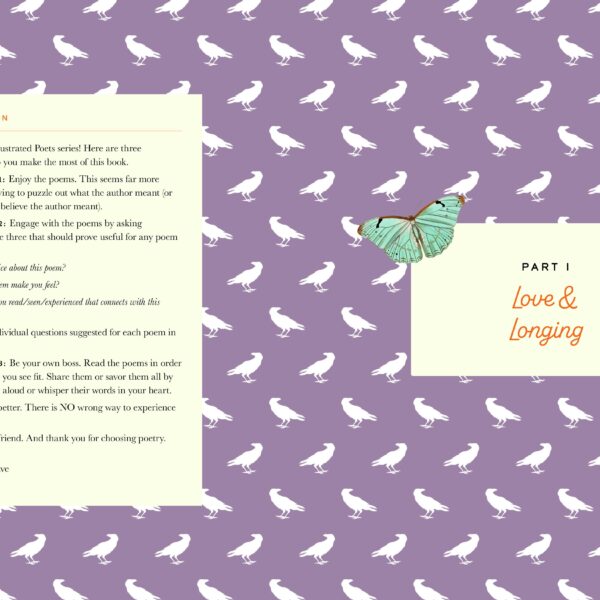 The Illustrated Edgar Allan Poe (Children's Book) - Image 2