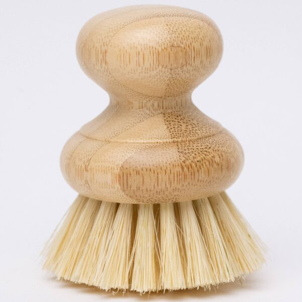 Dish Brush
