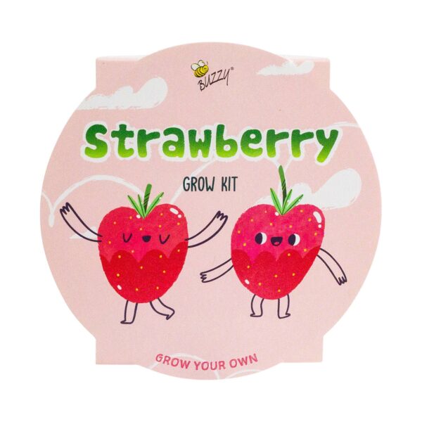 Buzzy Seeds Kids Mini Basin - Strawberry Grow Kit