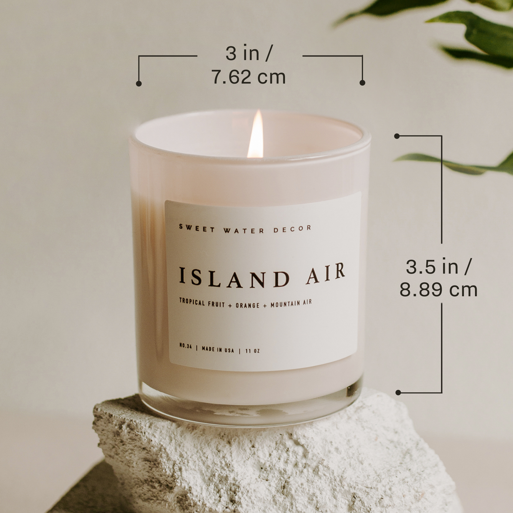 Spa Day 11 oz Soy Candle 