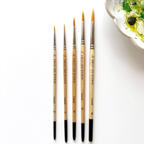 emily lex studio - Watercolor paintbrush set - Image 8