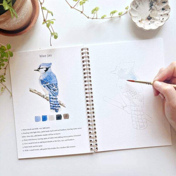 Birds watercolor workbook - Image 3