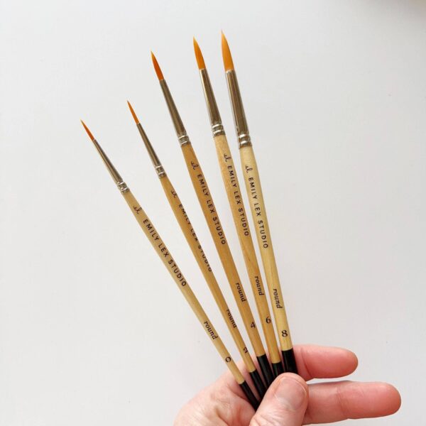 emily lex studio - Watercolor paintbrush set - Image 2