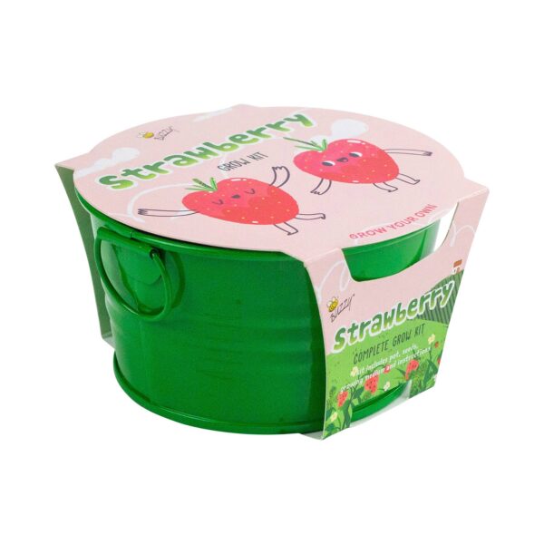 Buzzy Seeds Kids Mini Basin - Strawberry Grow Kit - Image 2
