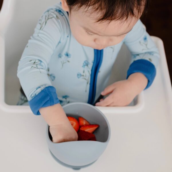 Easy Scoop Suction Bowl: Slate Blue - Image 13