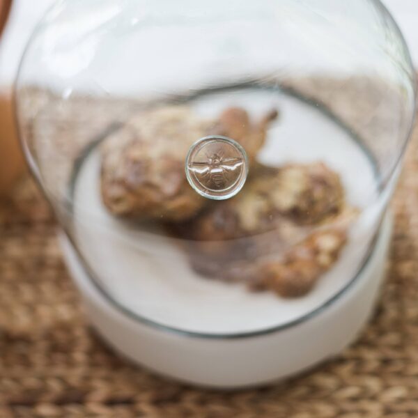 etúHOME - Demijohn Glass Cloche - Image 5