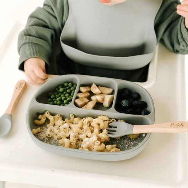 Dip Dye 4 Section Suction Plate: Cloud Gray - Image 9