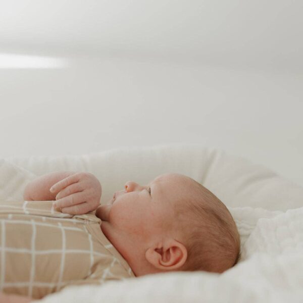 Bamboo Zip Shortie | Grid: 6-12 Months - Image 11