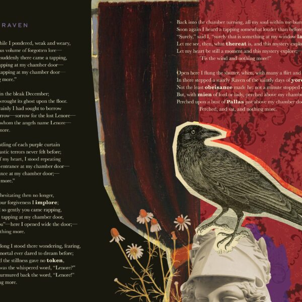The Illustrated Edgar Allan Poe (Children's Book) - Image 11
