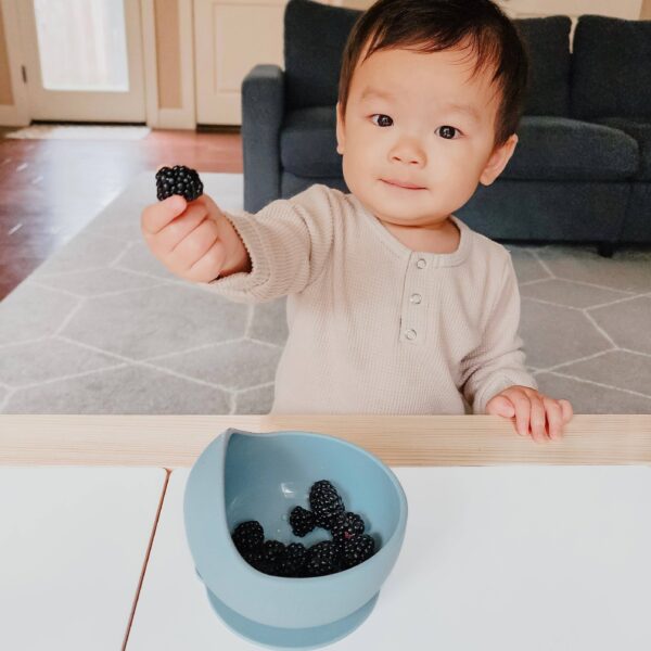 Easy Scoop Suction Bowl: Slate Blue - Image 12