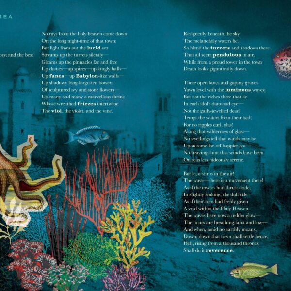 The Illustrated Edgar Allan Poe (Children's Book) - Image 8