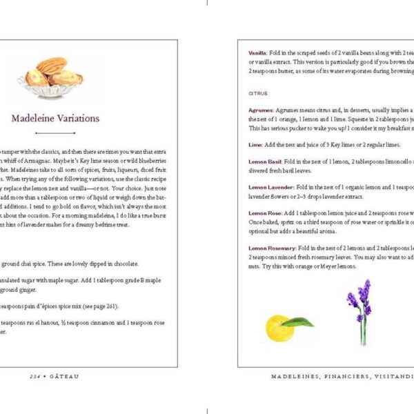 Gateau by Aleksandra Crapanzano: Hardcover; 384 pages, English - Image 3